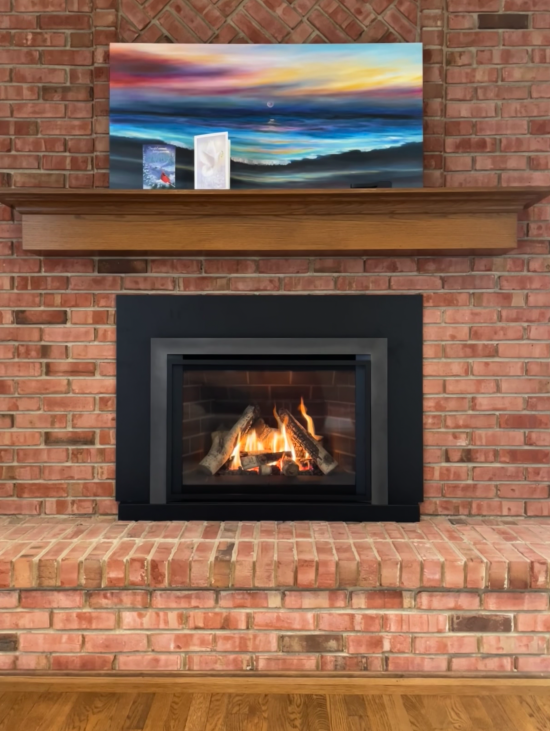 Gas Fireplace insert